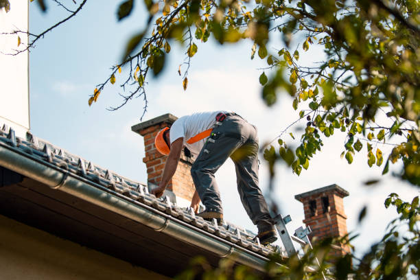 Best Roof Waterproofing Services  in Metamora, IL