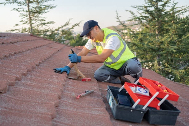 Roof Gutter Cleaning in Metamora, IL